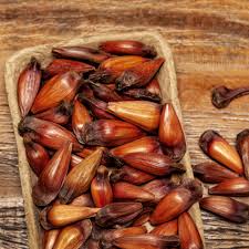 download-1-1.jpg PINHAO BRAZILMART 2LB